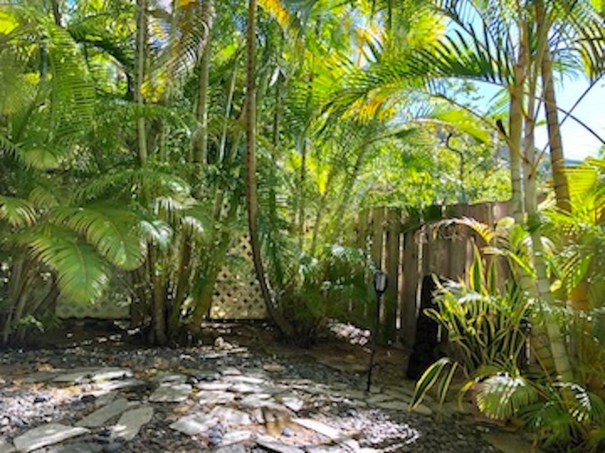 Lovely Relaxing Lanikai Studio, Legal Vacation Rental קילואה מראה חיצוני תמונה