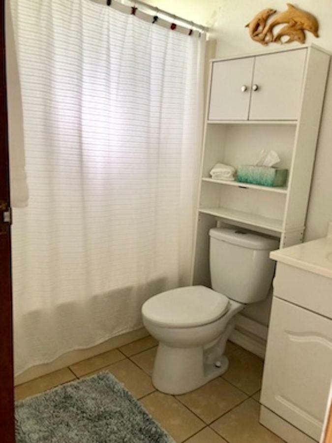 Lovely Relaxing Lanikai Studio, Legal Vacation Rental קילואה מראה חיצוני תמונה
